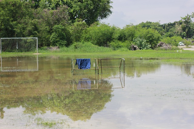 這並不意味 這並不意味