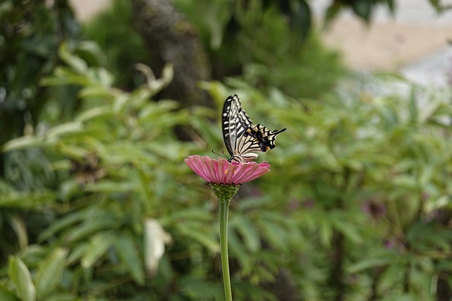 握控球节奏