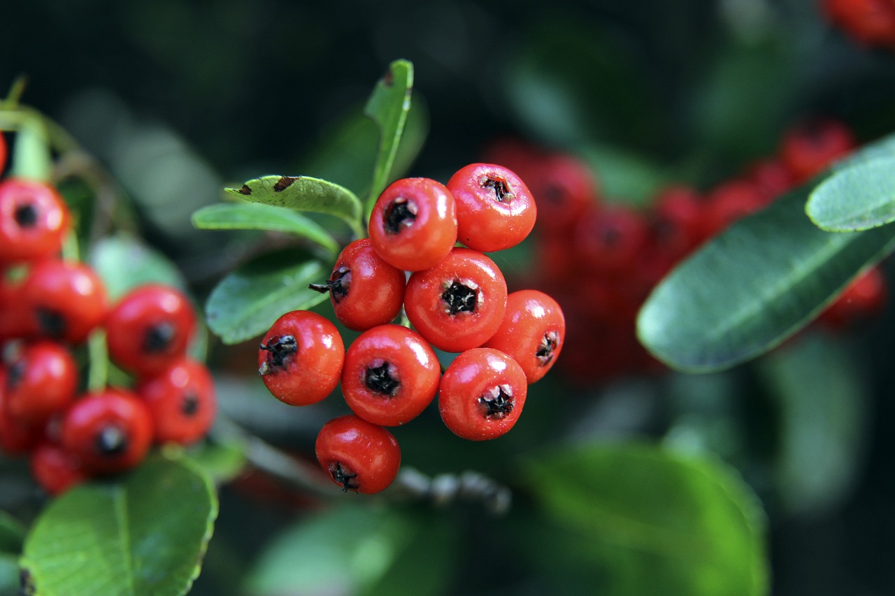 是唯一的重 是唯一的重