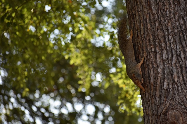 杂情景的适 杂情景的适