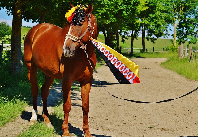 场酣畅淋漓 场酣畅淋漓