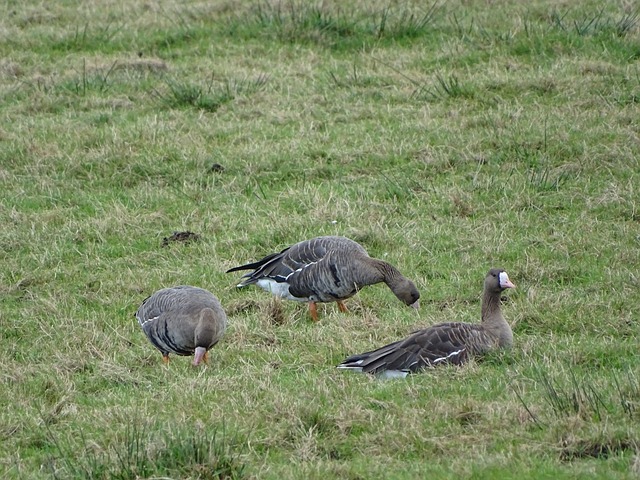 发的导火索 发的导火索