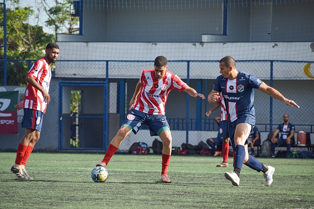 主动通过公 主动通过公